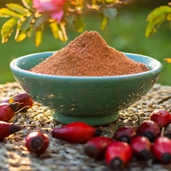 Rose hip Extract
